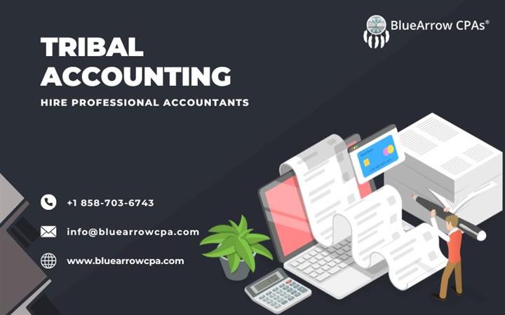 Best Tribal Accounting image 1