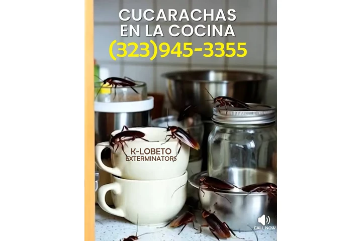 " TERMITE & PEST CONTROL.L.A." image 8