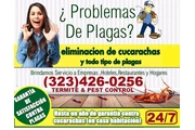 FUMIGACION TERMITAS 24/7 thumbnail