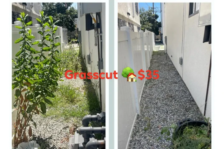 $35 Corte de Pasto $35 image 2