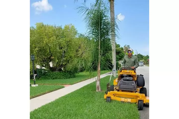 Servicio de Jardinería image 5