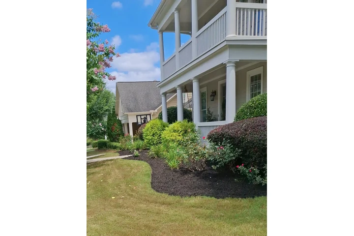 Professional Landscaping image 2