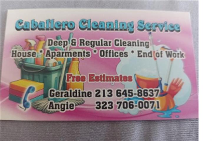 Cleaning service image 2