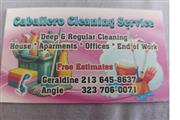 Cleaning service thumbnail