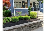 🌿GARCIA LANDSCAPING🌿 thumbnail