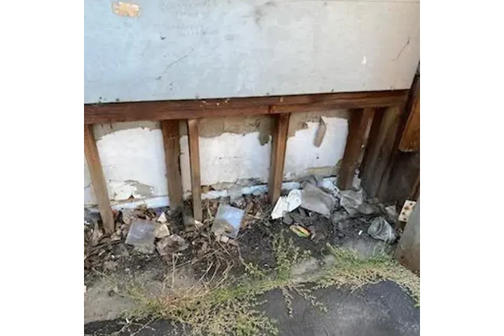 ¡Elimina plagas rápido! image 3