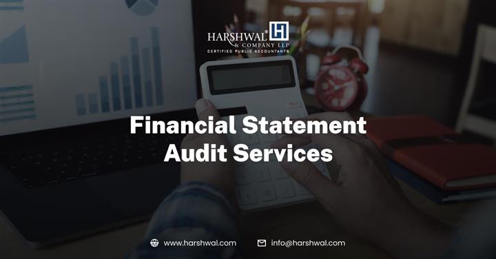 Financial Statement Audit image 1