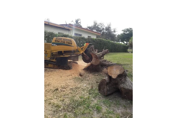 Perfect Trees Services Corp image 5