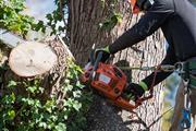 SERVICIOS DE JARDINERÍA -MIAMI thumbnail