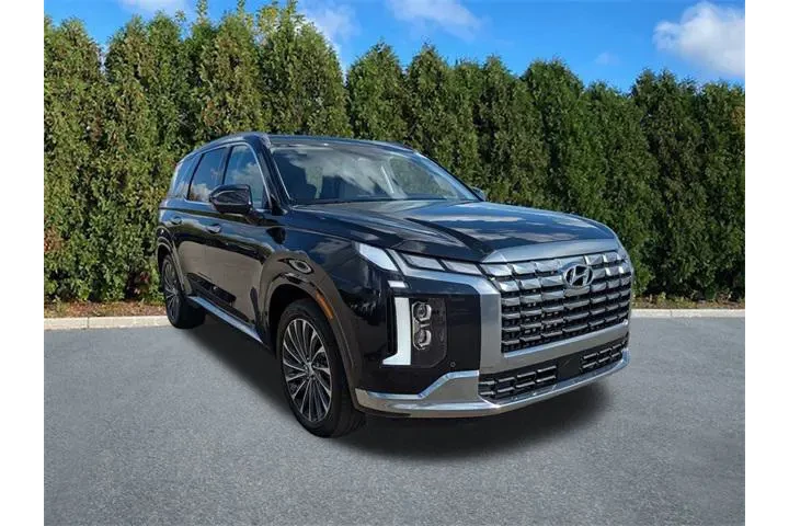 $34343 : Hyundai PALISADE 2023 AWD Ca image 3