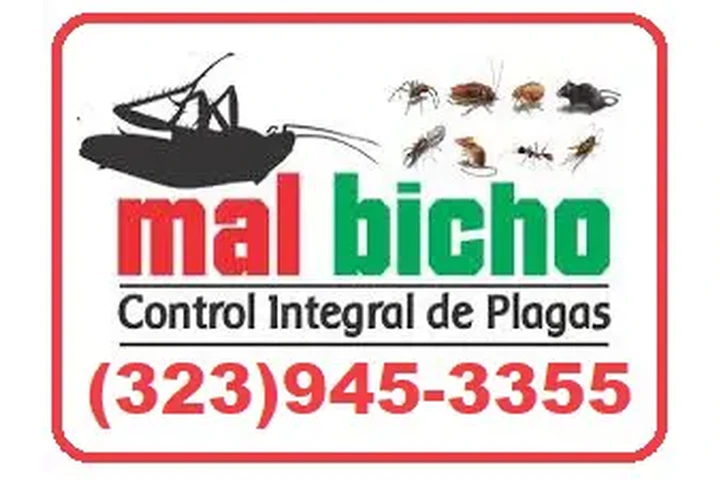 BEST EXTERMINATORS LOS ANGELES image 3