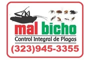 BEST EXTERMINATORS LOS ANGELES thumbnail