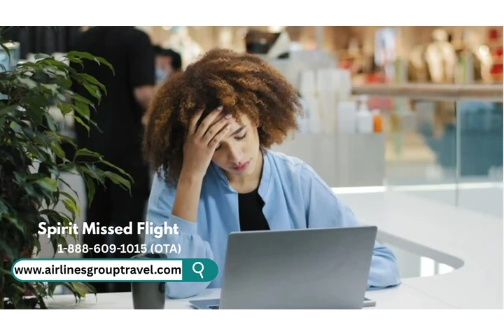 Spirit Missed Flight image 1