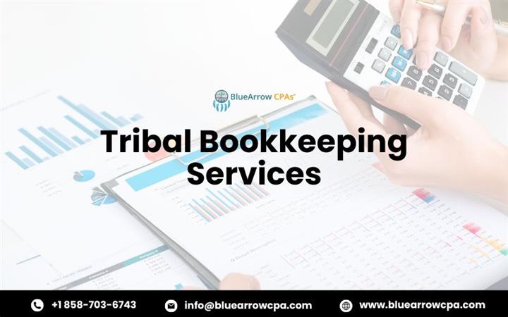 Tribal Bookkeeping Services image 1