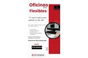 Oficinas virtuales en Leon de Los Aldama