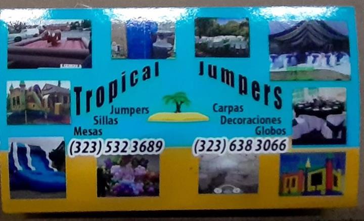 TROPICAL JUMPERS image 10
