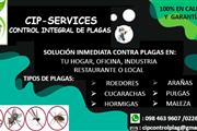 CIP-SERVICES CONTROL DE PLAGAS thumbnail 2