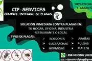 CIP-SERVICES CONTROL DE PLAGAS thumbnail 2