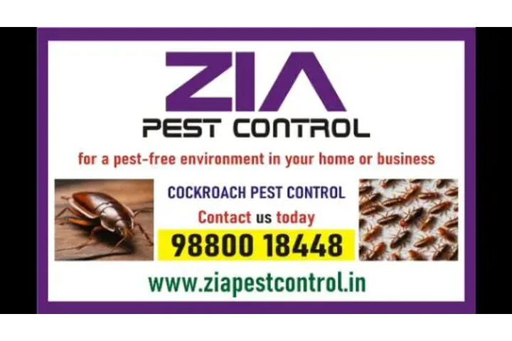 Pest Control | Cockroach Pest image 1