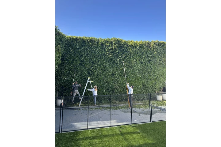 SERVICIO DE JARDINERÍA EN LA image 1