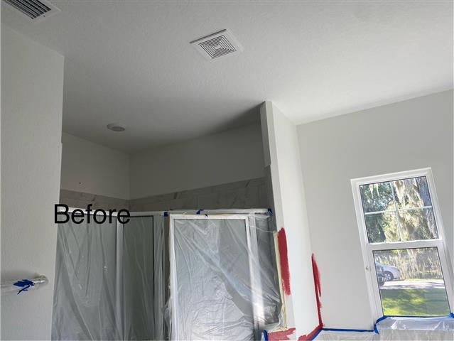 Paint and insulation image 4