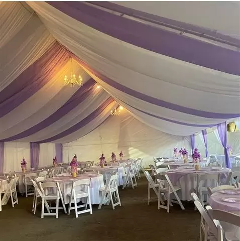 Carpas Drape chandeliers image 4