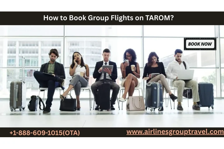 TAROM Group Travel image 1