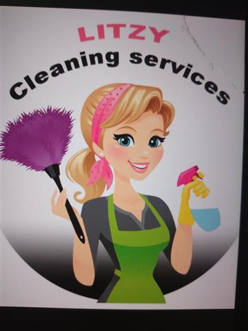 http://litzycleaningservices.c image 1