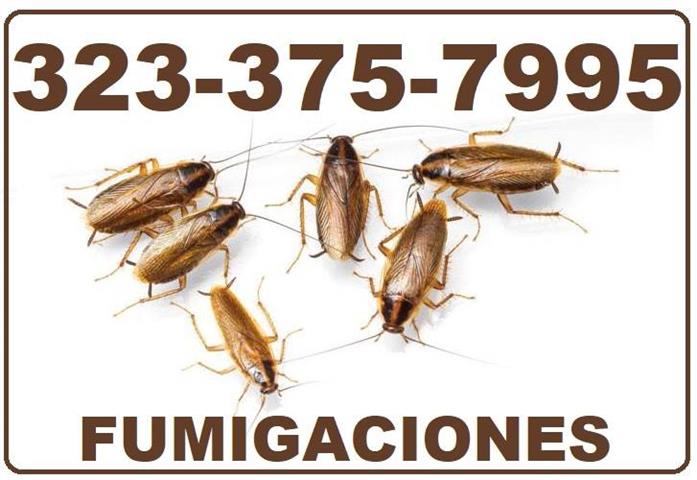 FUMIGACIONES 24/7 EAST L.A. image 4