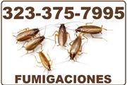 FUMIGACIONES 24/7 EAST L.A. thumbnail