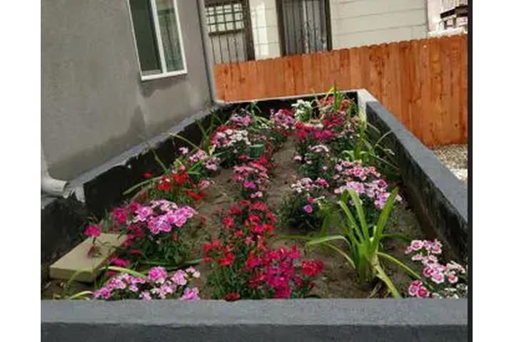 $3250 : LARGE 3 BEDROOM, APT. image 4