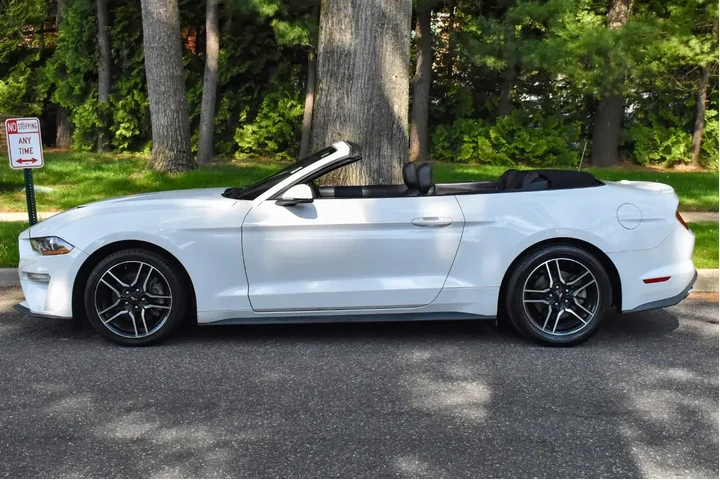 $13995 : Ford Mustang 2019 EcoBoost 2 image 4