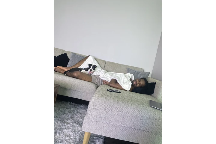 $600 : Venta de American pitbull image 2