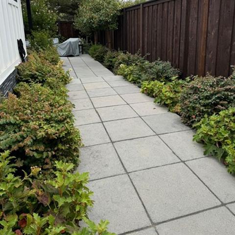 JM Landscaping Services image 9