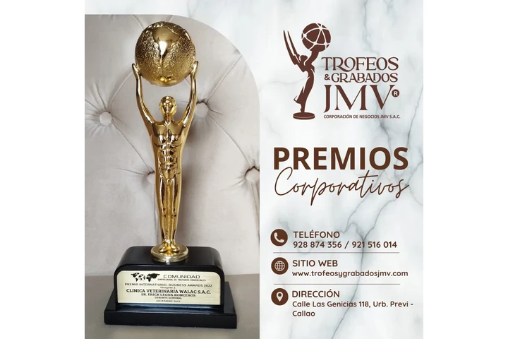 TROFEOS PARA MINERIA image 2