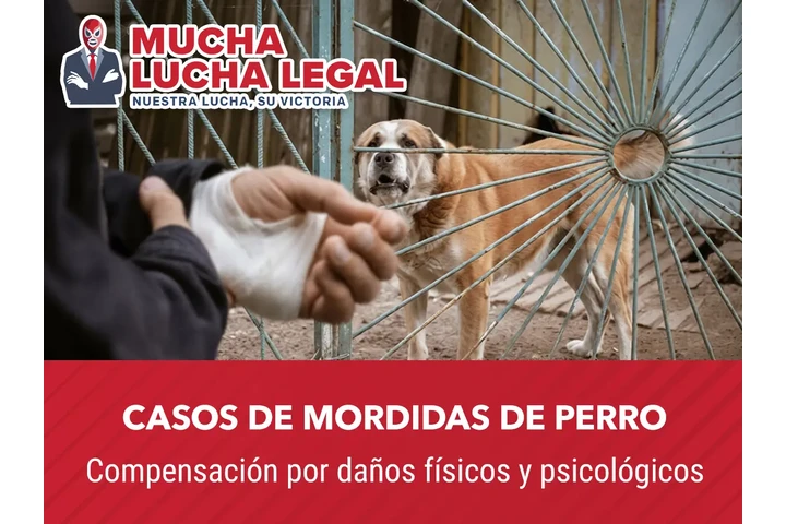 Ayuda en Casos de Lesiones image 5