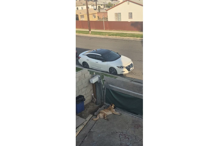 $6500 : Linpio image 1