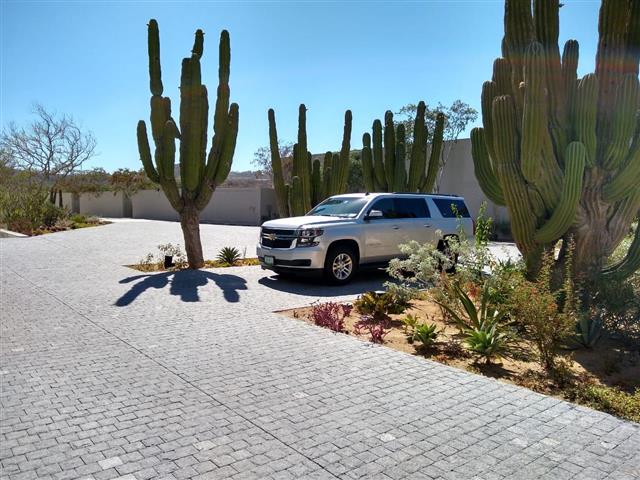 Los Cabos Transportation image 10