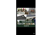 eco forest expert llc thumbnail