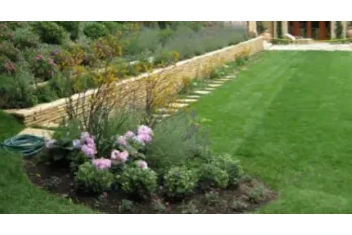 SERVICIOS DE JARDINERÍA image 4