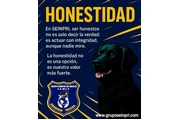 Grupo Seinpri Seguridad Privad en Mexico DF