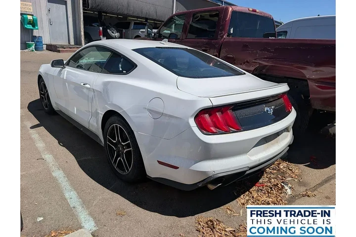 $26284 : Ford Mustang 2023 EcoBoost P image 5