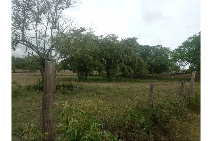 $85000000 : SE VENDE MAGNIFICO TERRENO image 1