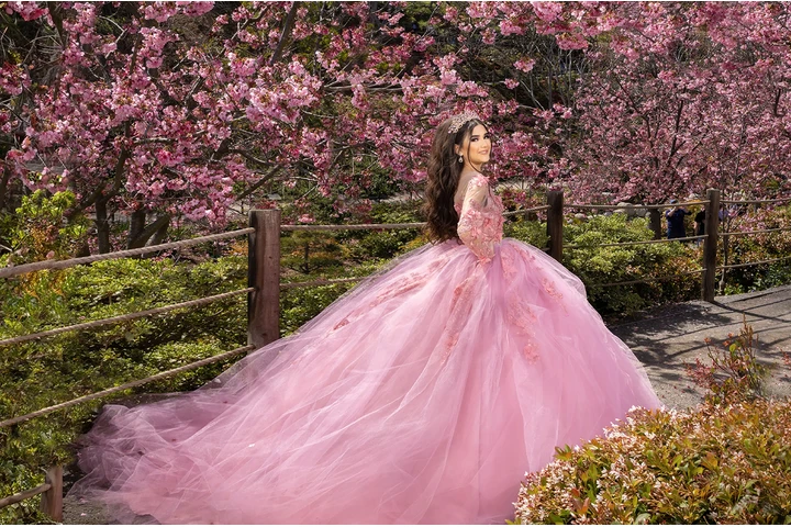 Foto y Video desde $ 599 image 2