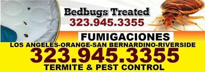 BED BUGS - PEST CONTROL 24/7 image 10