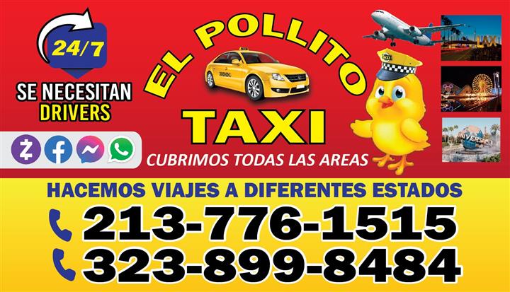 Taxi pollito image 3