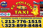 Taxi pollito thumbnail