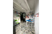Entable de Peluquería Canina en Pereira