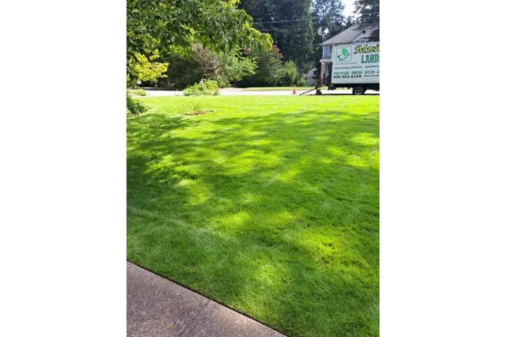 Professional Landscaping image 6