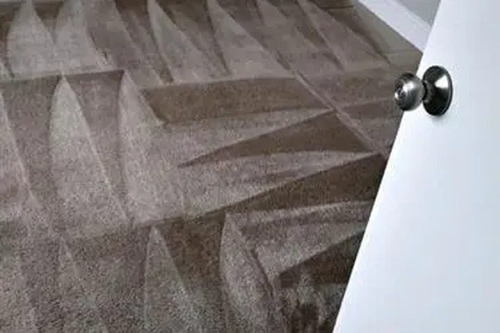 Limpieza De Alfombras. image 3